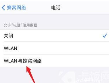将电话使用的数据改为【WLAN与蜂窝网络】